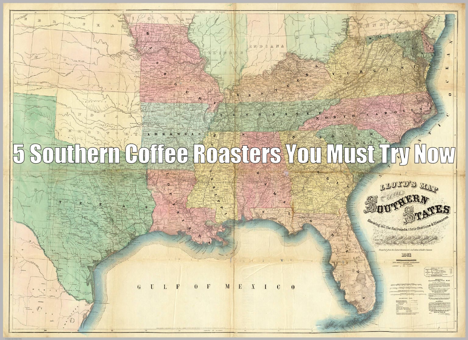 5 Southern Coffee Roasters You Must Try Now