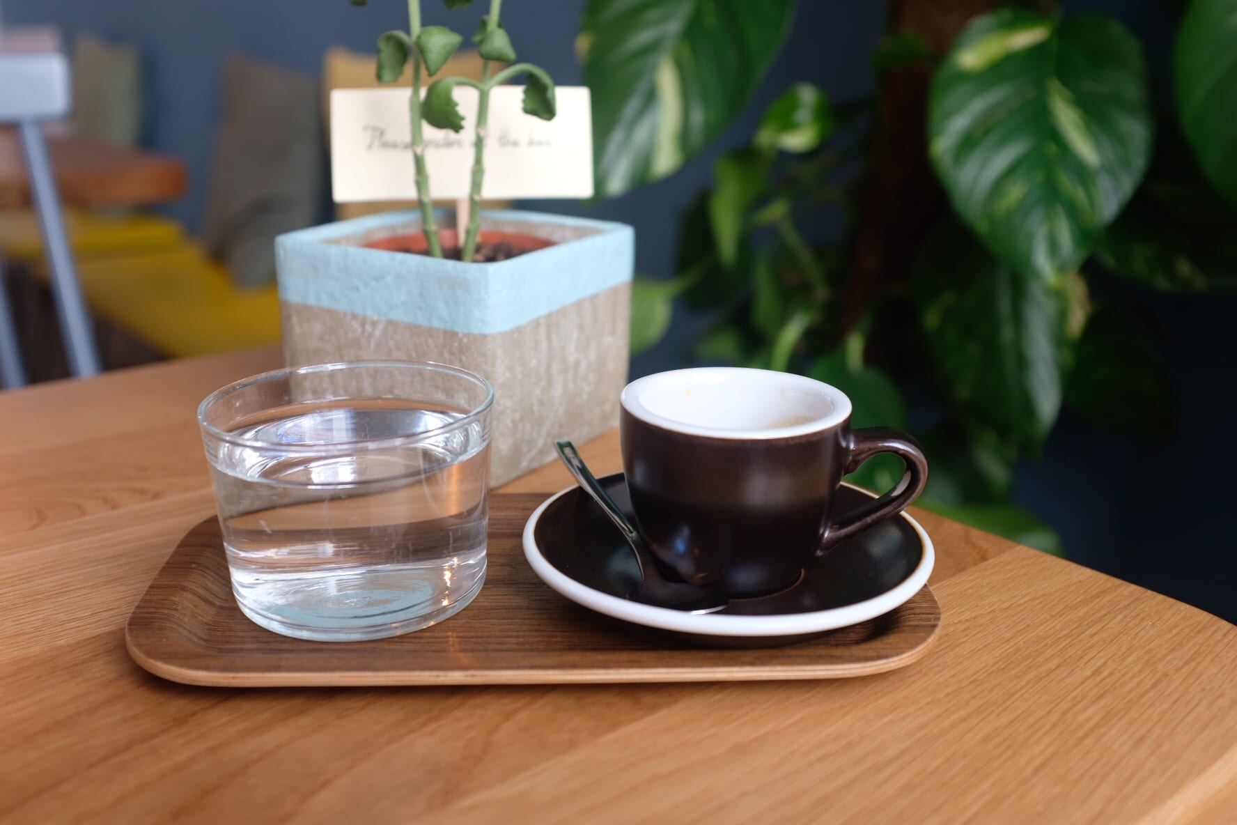 Four Great Coffee Shops in Vienna The Coffee Compass