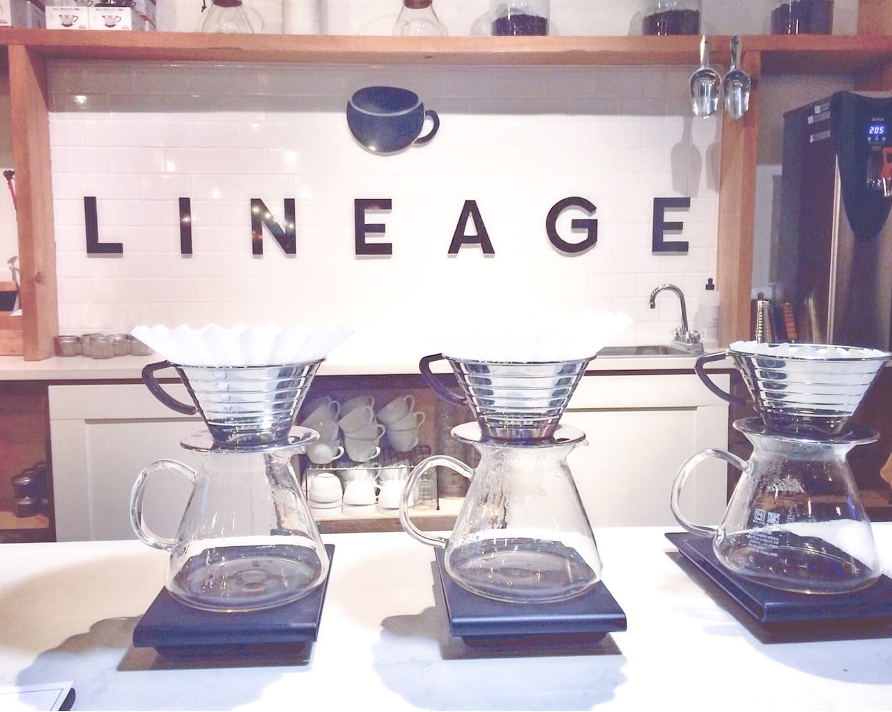 Lineage Coffee in Orlando
